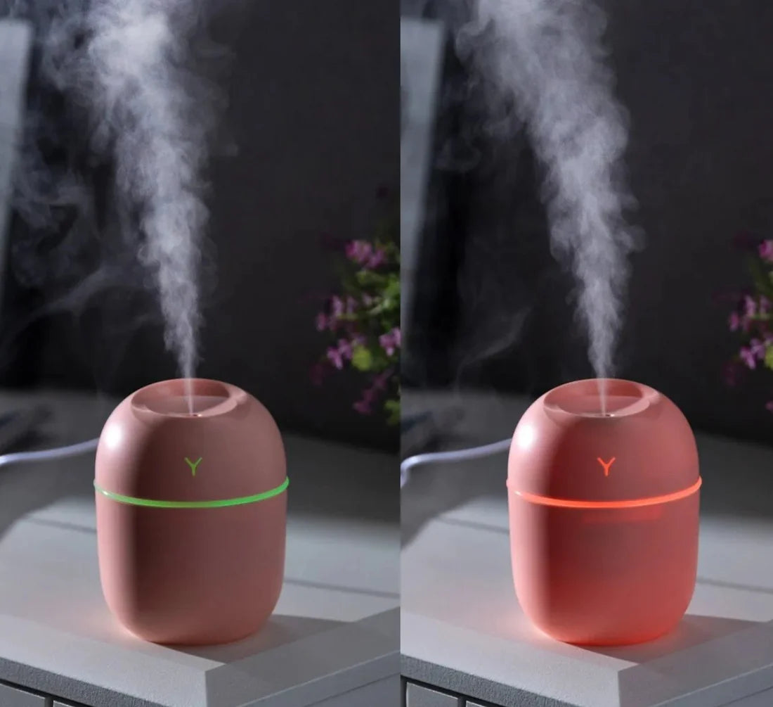Mini Egg-Shaped Humidifier with Night Light – USB Portable Cool Mist Diffuser