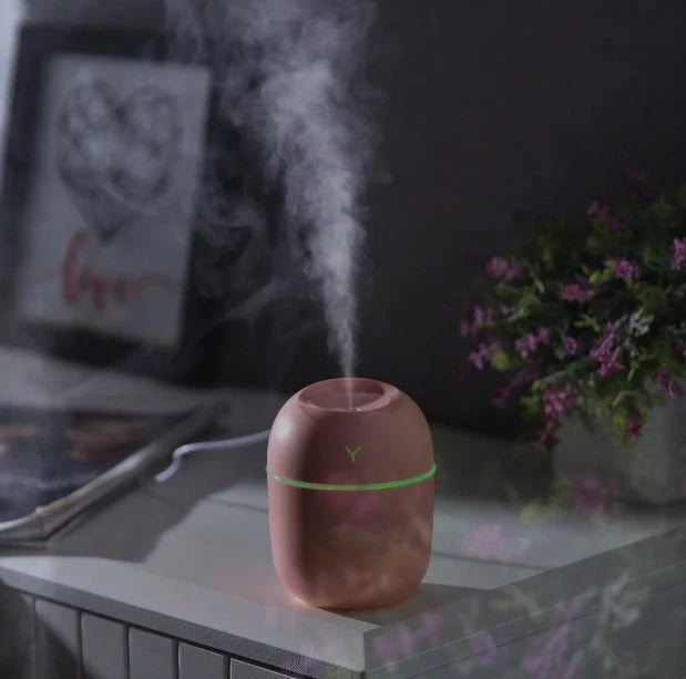 Mini Egg-Shaped Humidifier with Night Light – USB Portable Cool Mist Diffuser