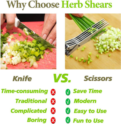 5-Blade Herb Scissors – Stainless Steel Kitchen Shears with Cover