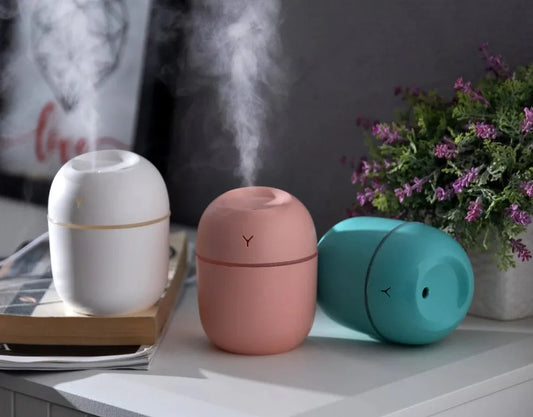 Mini Egg-Shaped Humidifier with Night Light – USB Portable Cool Mist Diffuser